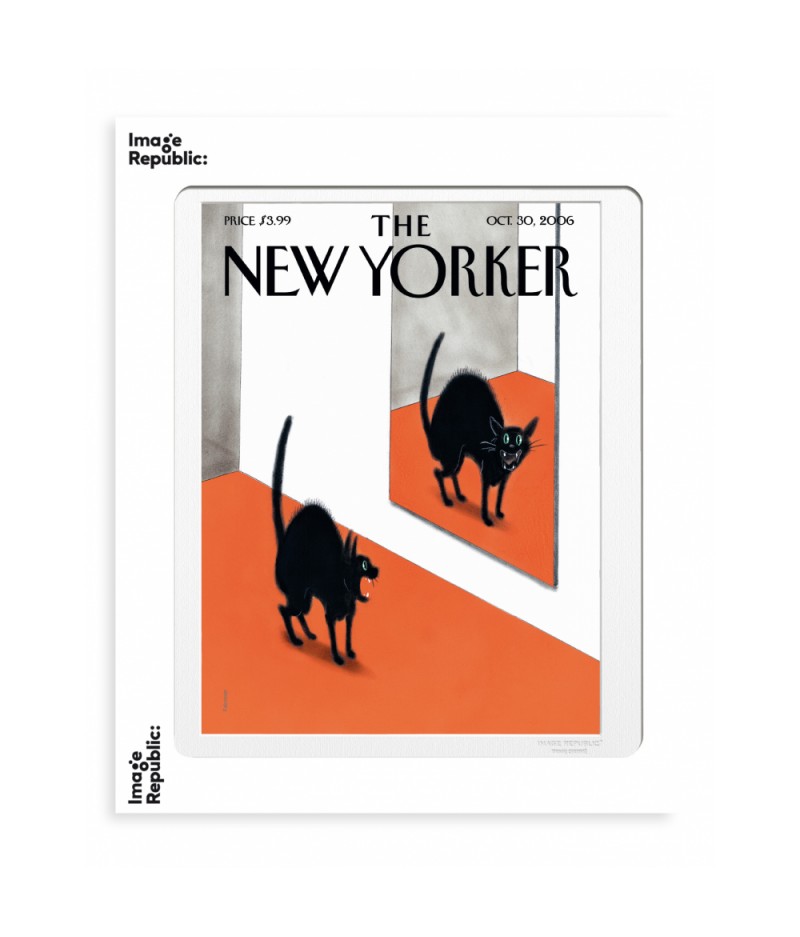 40x50 cm The New Yorker 158 Falconer Black Cat Halloween - Affiche Image Republic