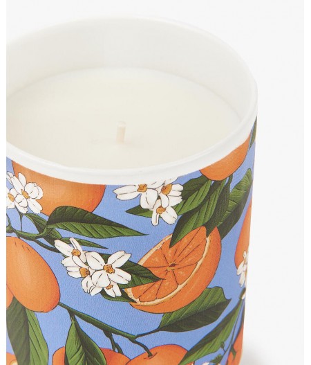 Bougie parfumée Orange Blossom Candles Burning time 45h - Wouf
