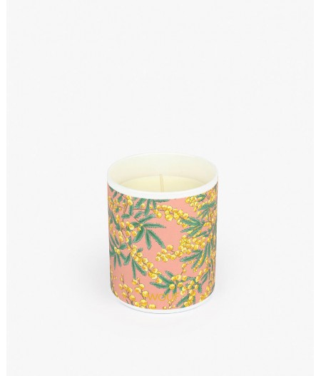 Bougie parfumée Mimosa Candles - Wouf