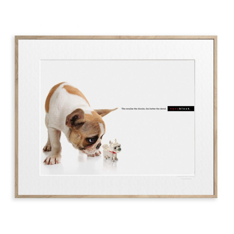 30x40 cm Affiche ADV Nanoblock Chien - Image Republic