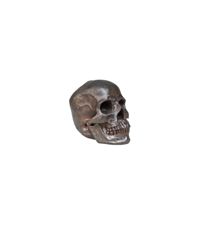 Déco crâne marron - Chehoma