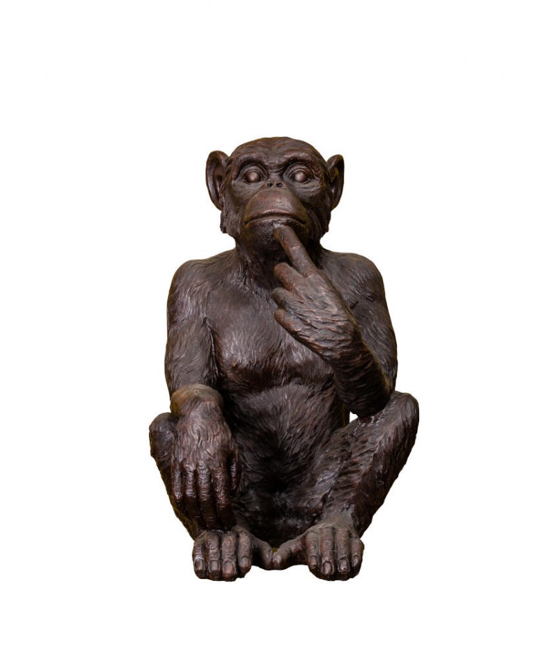 Grand singe pensif - Chehoma