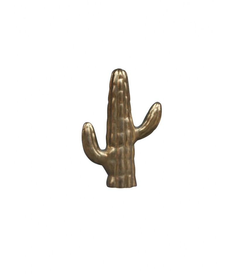 Cactus doré - Chehoma