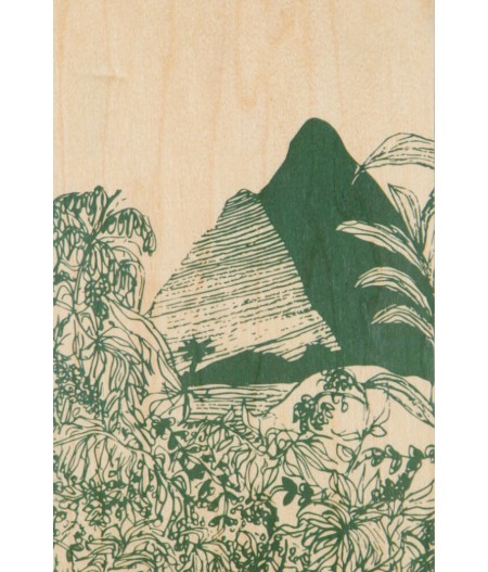 Cartes Postales en bois Woodhi - Landscapes Jungle