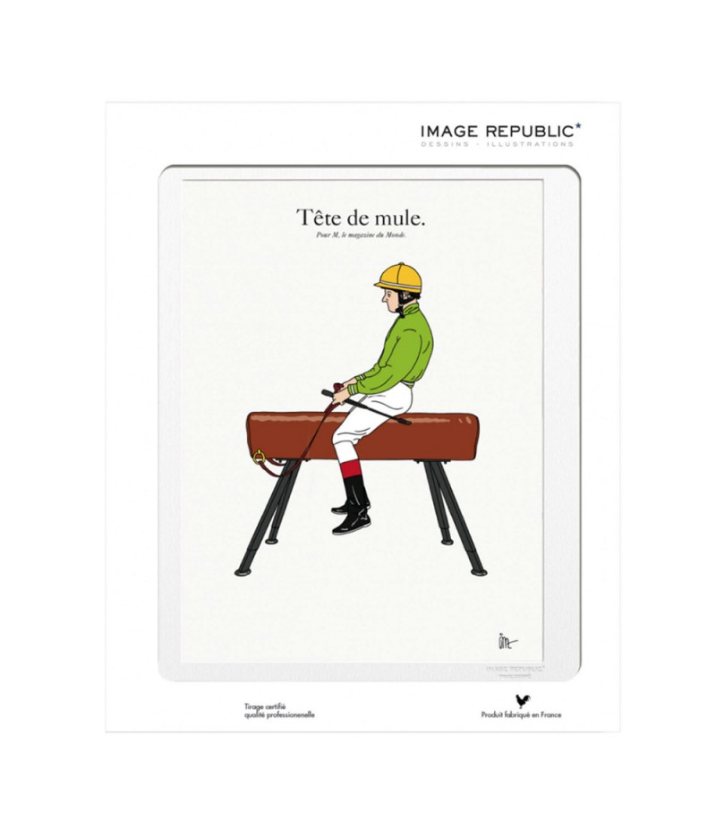 10.5x15 TIXIER Tete De Mule - Carte Postale double avec enveloppe - Image Republic