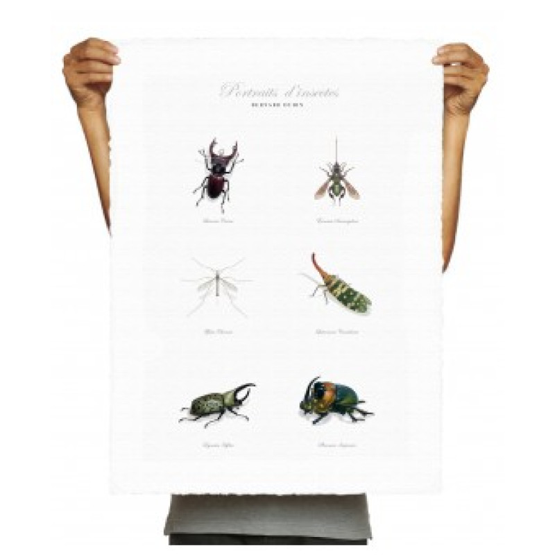 30x40 cm BERNARD DURIN pol_ful - Affiche Image Republic