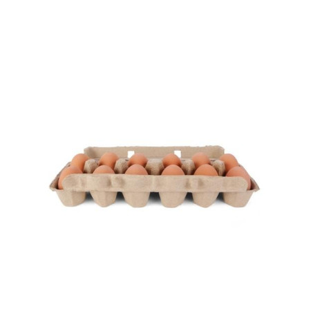 Balle rebondissante Oeuf