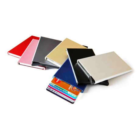 Card Protector Secrid - C-Silver