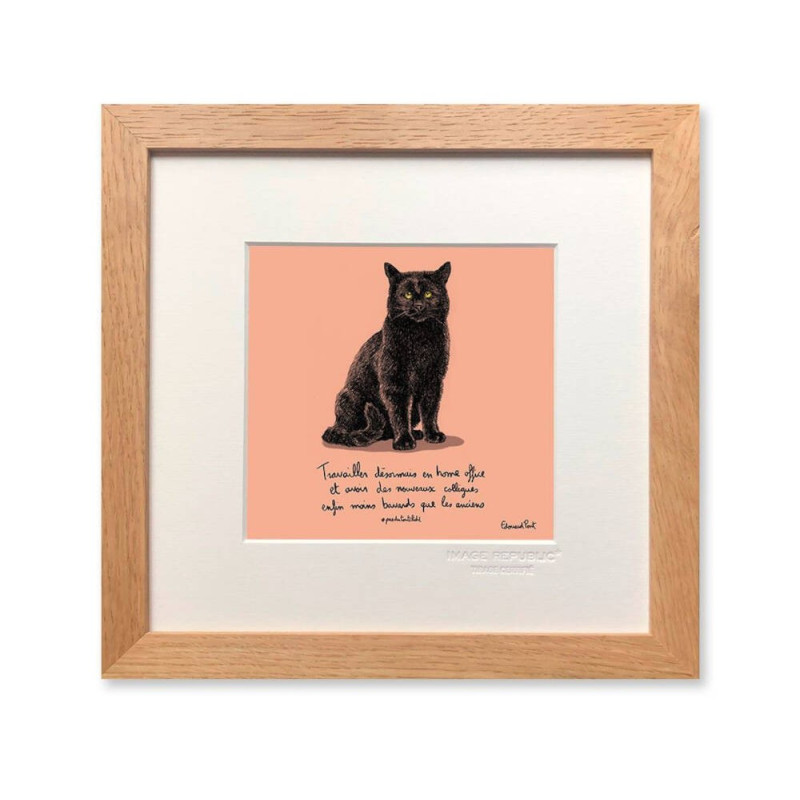 22x22 cm Pas Du Tout Cliché Edouard Pont Couleur 015 Chat - Affiche Image Republic