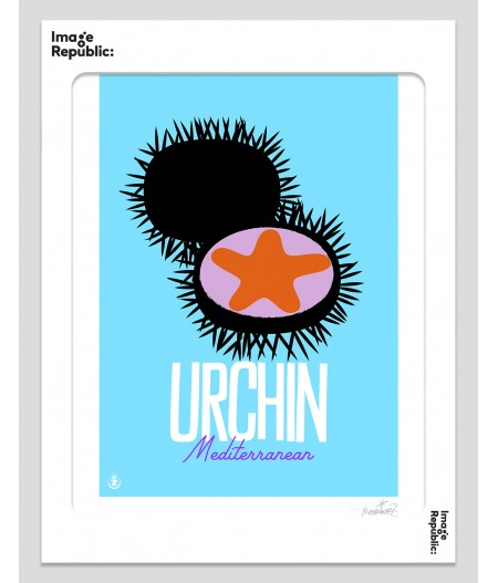 30x40 cm Monsieur Z Organic Market 031 Urchin - Affiche Image Republic