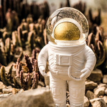 Summerglobe The Astronaut - Donkey