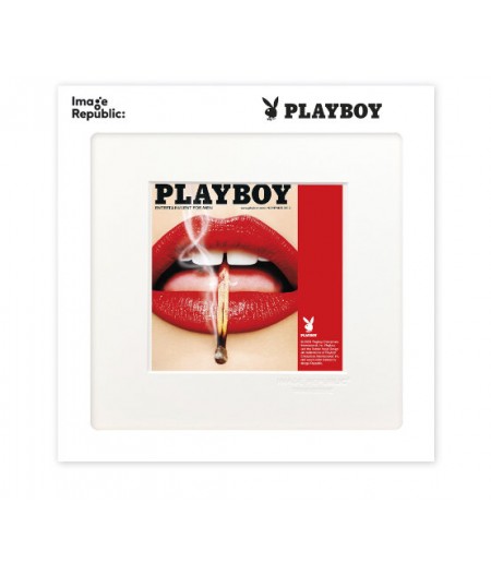 22x22 cm Playboy 045 Couverture Novembre 2013 - Affiche Image Republic