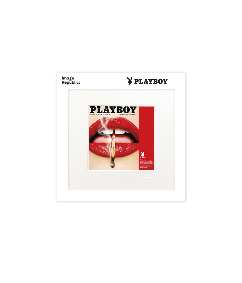 22x22 cm Playboy 045 Couverture Novembre 2013 - Affiche Image Republic