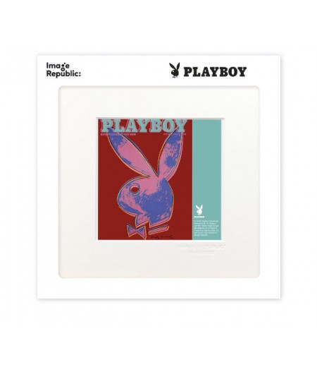 22x22 cm Playboy 030 Couverture Janvier 1986 - Affiche Image Republic