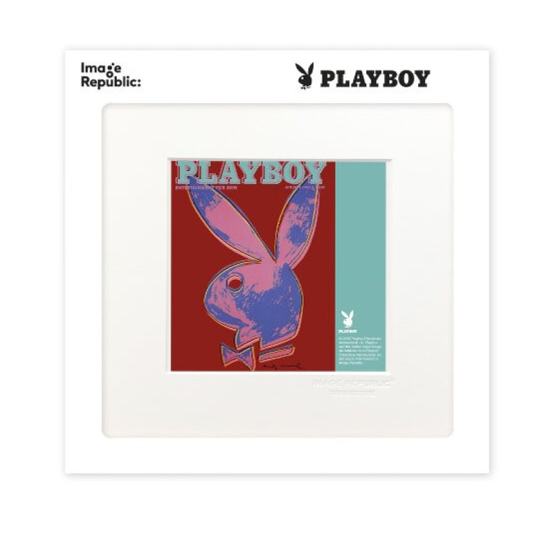 22x22 cm Playboy 030 Couverture Janvier 1986 - Affiche Image Republic