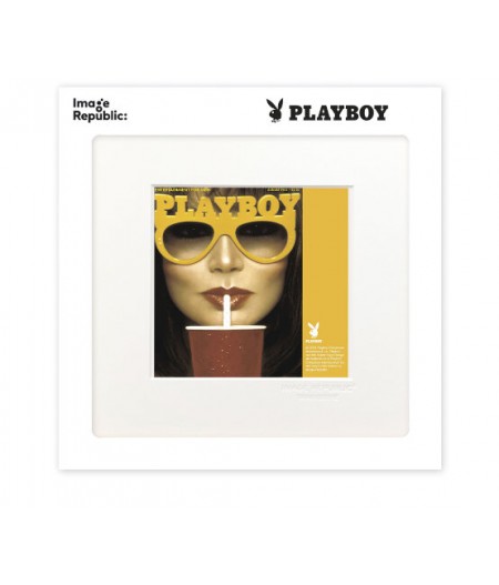 22x22 cm Playboy 028 Couverture Août 1982 - Affiche Image Republic