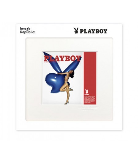 22x22 cm Playboy 024 Couverture Juillet 1977 - Affiche Image Republic
