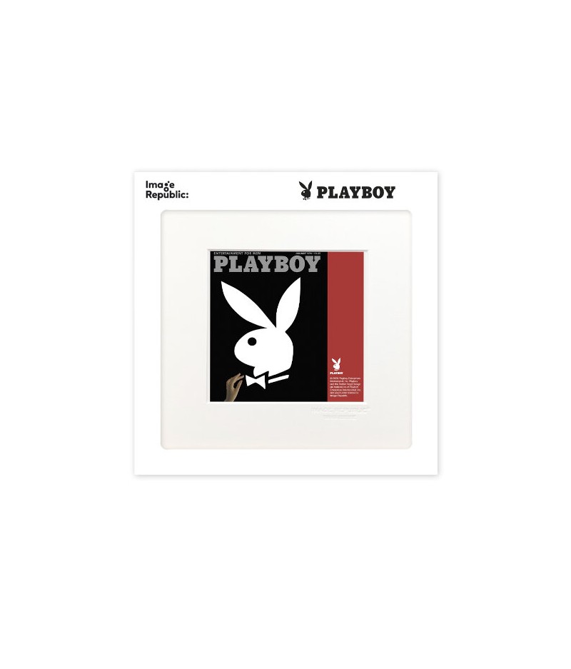 22x22 cm Playboy 020 Couverture Janvier 1974 - Affiche Image Republic