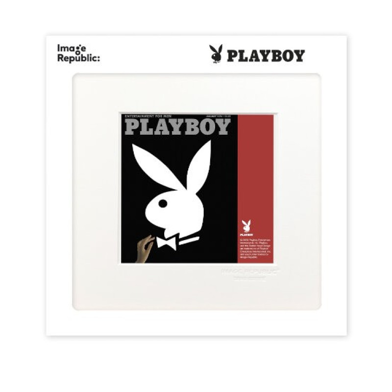 22x22 cm Playboy 020 Couverture Janvier 1974 - Affiche Image Republic