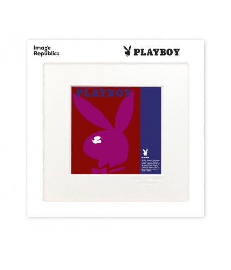 22x22 cm Playboy 016 Couverture Décembre 1971 - Affiche Image Republic