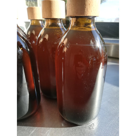 La Potion de Thym BIO - Salsepareille