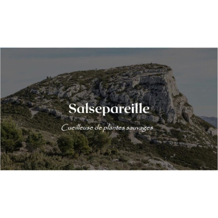 La Potion de Romarin BIO - Salsepareille