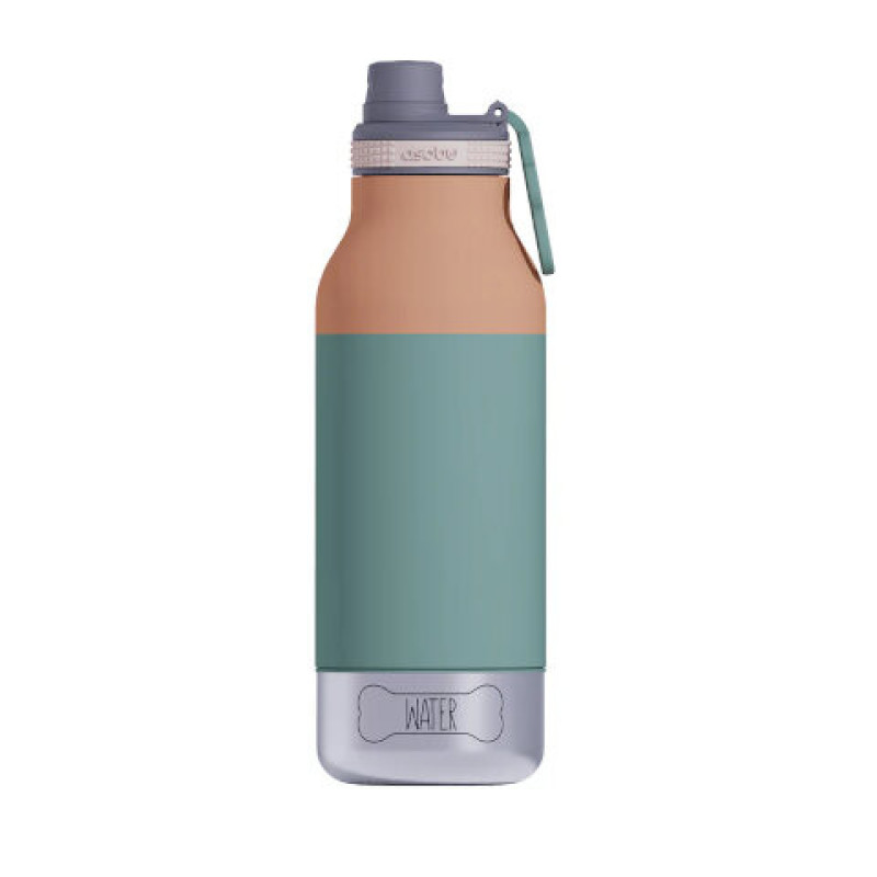 Gourde Buddy Bottle Pastel Green - Asobu