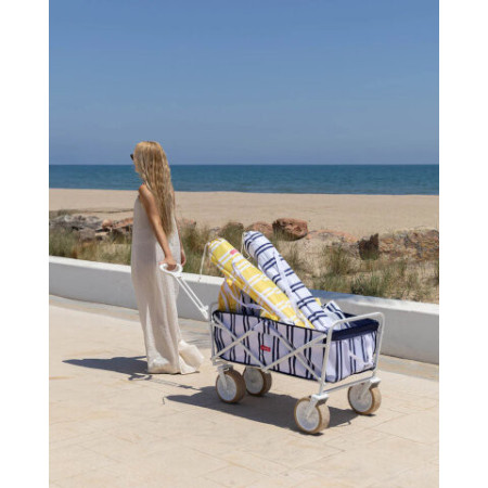 Chariot de plage ABEL - Flamingueo
