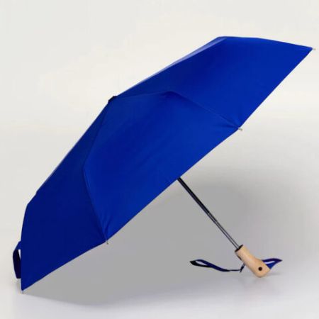 Parapluie compact bleu royal - Original Duckhead
