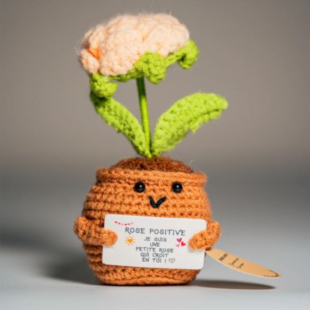 Rose Champagne - 14 cm - Patate Positive