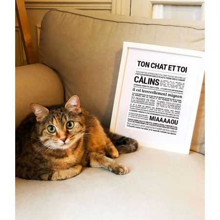 Affiche - Ton Chat Et Toi - Affiche Encadrée - Tout est dit