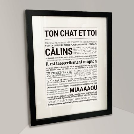 Affiche - Ton Chat Et Toi - Affiche Encadrée - Tout est dit