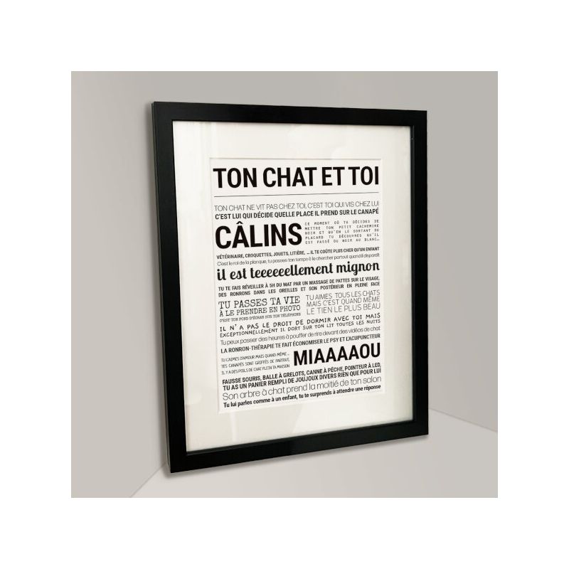 Affiche - Ton Chat Et Toi - Affiche Encadrée - Tout est dit