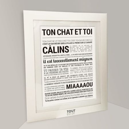 Affiche - Ton Chat Et Toi - Affiche Encadrée - Tout est dit