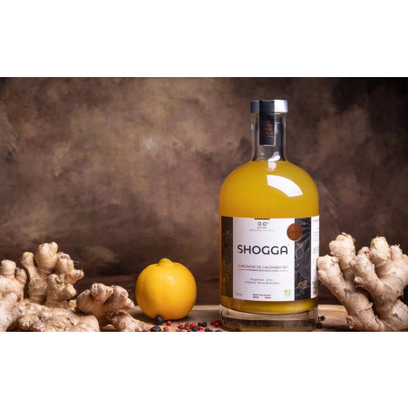 SHOGGA (500 ml) – Boisson au gingembre premium, bio et made in France !
