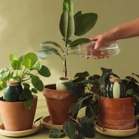 Trio de diffuseurs d’eau Mini Olla – Les rayés - Pepin